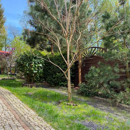 Loft - Year-round Lakefront In Only 30 Minutes From Gdansk And Gdynia Apartment *